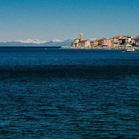 Apartament Alex Piran