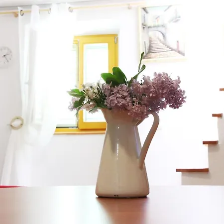 Apartman Alex