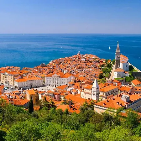 Alex * Piran